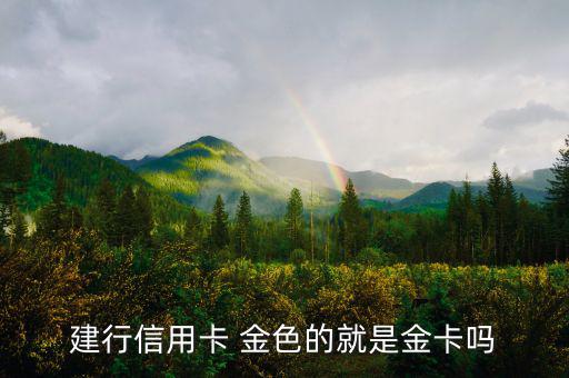 建設(shè)銀行信用卡什么卡種是金卡，我申請(qǐng)建設(shè)銀行的信用卡我申請(qǐng)的是金卡審核通過(guò)了上面寫(xiě)的卡