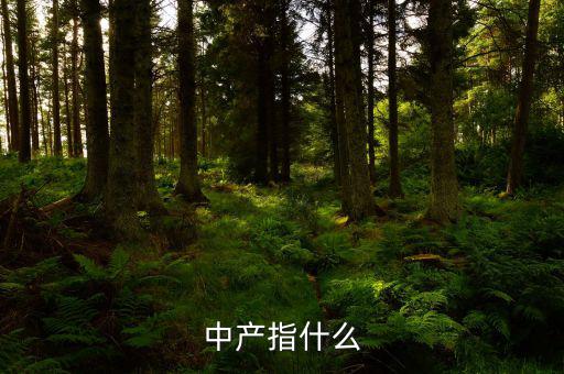中產(chǎn)消費什么，網(wǎng)易電商平臺帶給中產(chǎn)消費者的核心價值是什么