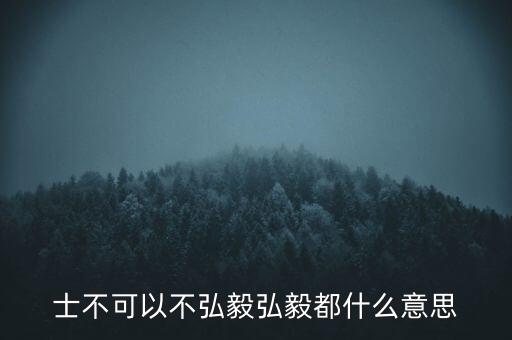 市布可以不弘毅什么意思，曾子曰士不可以不弘毅 什么意思