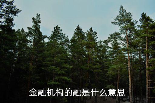 金融機(jī)構(gòu)的融是什么意思，融資中的融是什么意思