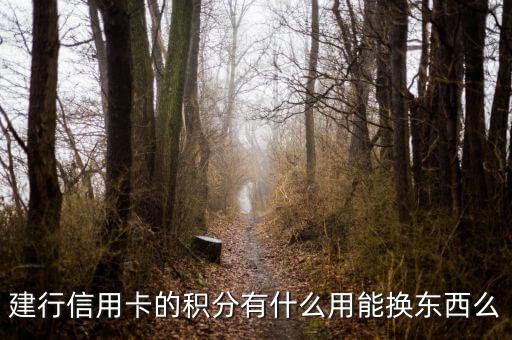 建行信用卡積分能兌換什么，請問下建行信用卡1萬多積分可以換什么