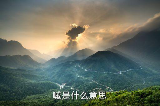 盤古智庫什么意思，一蓑煙雨任平生是什么意思
