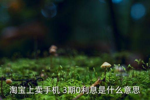 三零分期什么意思，淘寶上賣手機(jī) 3期0利息是什么意思