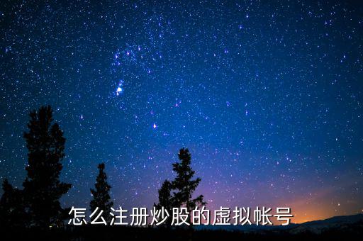 虛擬證券賬戶是什么，什么叫股票的虛擬賬戶