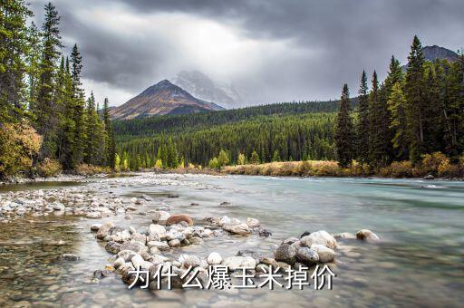玉米價(jià)格為什么下跌，現(xiàn)在的玉米價(jià)格是多少為什么糧食價(jià)格下跌