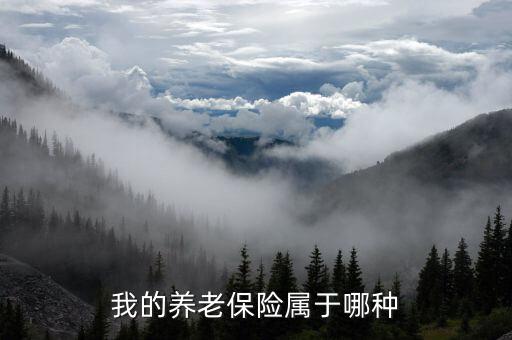 養(yǎng)老保險屬于什么保險，養(yǎng)老保險屬于什么保險