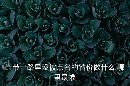 一帶一路里沒(méi)被點(diǎn)名的省份做什么 哪里最慘