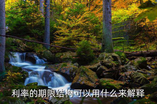 利率的期限結(jié)構(gòu)可以用什么來解釋，簡(jiǎn)述利率的期限結(jié)構(gòu)