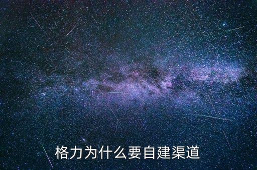 格力為什么自建渠道，格力與國(guó)美電器將來(lái)的合作的可能性如何請(qǐng)說(shuō)明原因