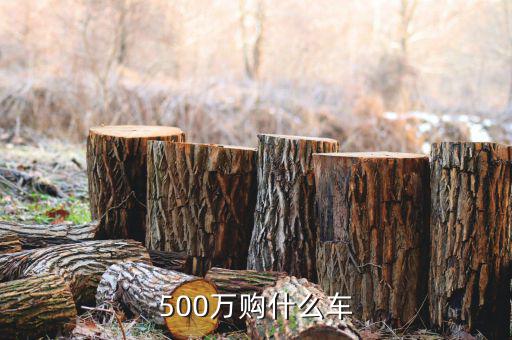500萬身家開什么車，500萬人民幣可買什么車