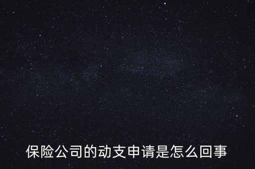 什么是動支申請，怎么樣支申請