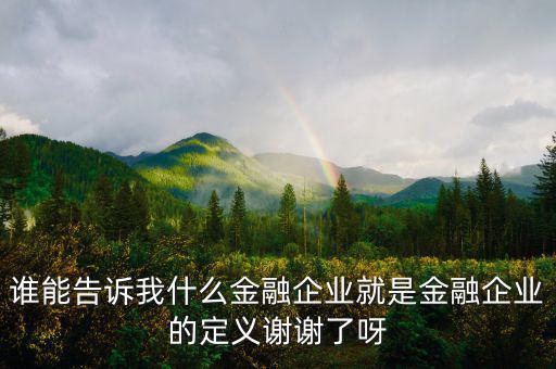 什么是金融企業(yè)，請(qǐng)問什么是金融企業(yè)呢或金融企業(yè)具體做什么負(fù)責(zé)什么啊