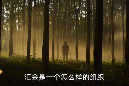 中央?yún)R金干什么的，匯金是一個怎么樣的組織