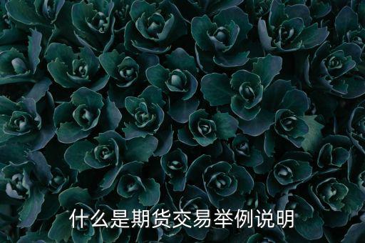 期權(quán)期貨是什么意思，期權(quán)與期貨是什么意思
