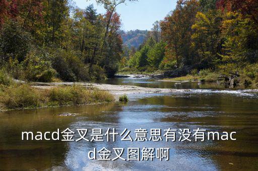 macd金叉是什么，請問在外匯交易中什么是MACD金叉