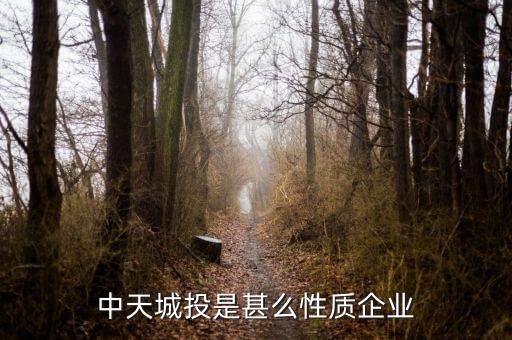 中天城投是什么概念，中天城投在這么些年的發(fā)展中涉及了哪些行業(yè)
