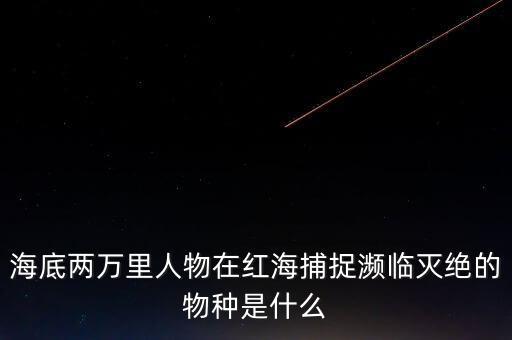 富智康和鴻海是什么關(guān)系，他的什么半島是在亞洲部分什么運(yùn)河溝通了紅海和地中海