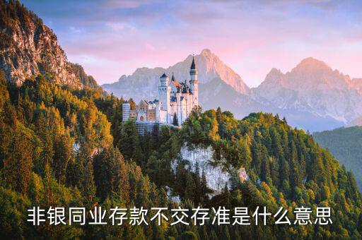 什么是非銀同業(yè)存款，什么是銀行同業(yè)存款