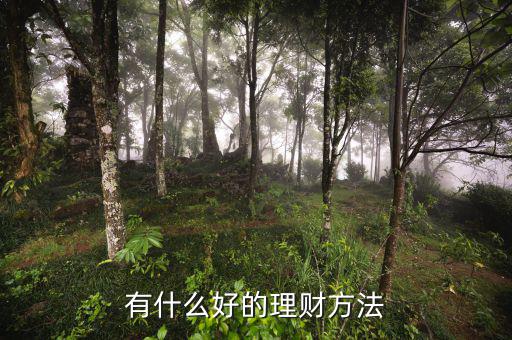 什么方式理財(cái)，理財(cái)有哪些方法