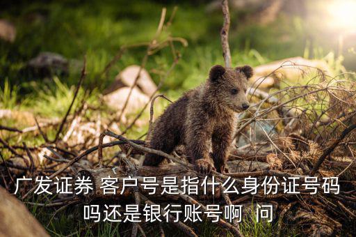 廣發(fā)證券開戶編號是什么，廣發(fā)證券 客戶編號 是什么