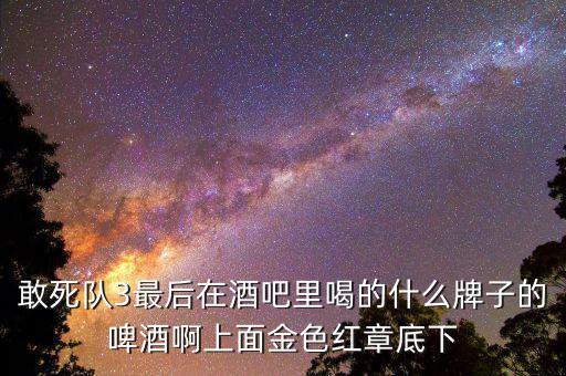 敢死隊3喝的什么啤酒，敢死隊3酒吧里吃的這是什么