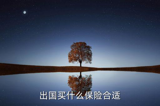 什么保險(xiǎn)長(zhǎng)期在國(guó)外有用，什么保險(xiǎn)有去國(guó)外玩的保障啊