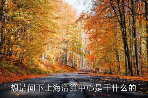 上海清算所做什么，想請問下上海清算中心是干什么的