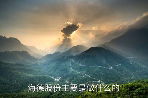 德力股份是干什么的，德國力斯集團(tuán)以前主要是做什么的啊