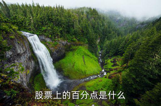 股份中的百分點(diǎn)是什么，在股票中百分點(diǎn)是指的什么