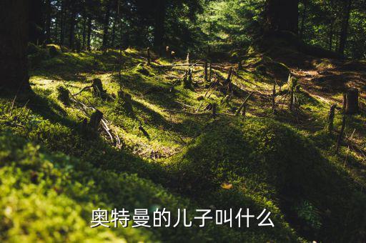 奧特佳老總兒子叫什么，奧特曼的兒子叫什么