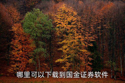 國金證券用的什么軟件，國金證券手機(jī)怎樣下載