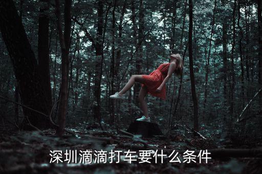 深圳交通滴滴有什么政策，申請(qǐng)深圳滴滴對(duì)司機(jī)有些什么要求嗎