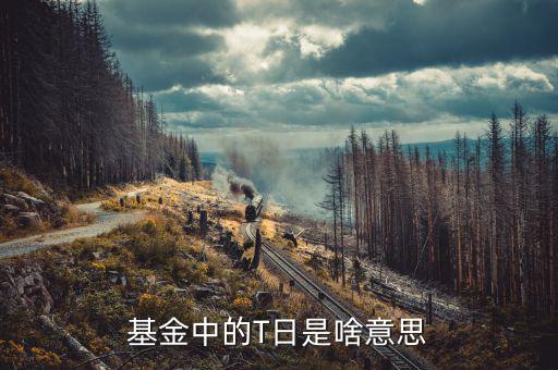 t日是什么意思，基金中的T日是啥意思