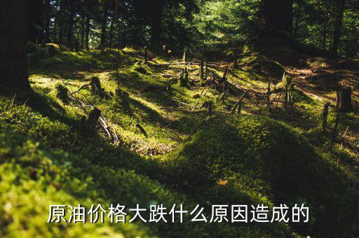 原油為什么會(huì)跌，原油價(jià)格大跌什么原因造成的