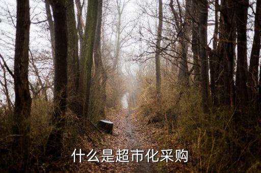 超市化采購什么意思，什么是超市化采購
