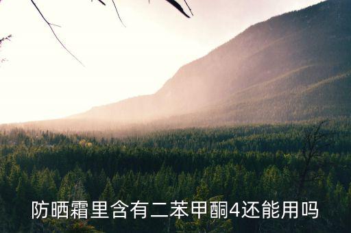 什么里面有甲酮，什么是甲酮是羰基兩邊連兩個甲基嗎
