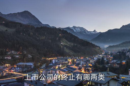 上市公司的終止有哪兩類(lèi)