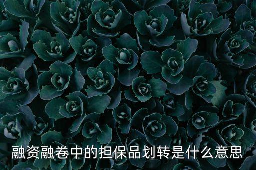 什么是劃轉(zhuǎn)，劃撥轉(zhuǎn)賬是什么意思