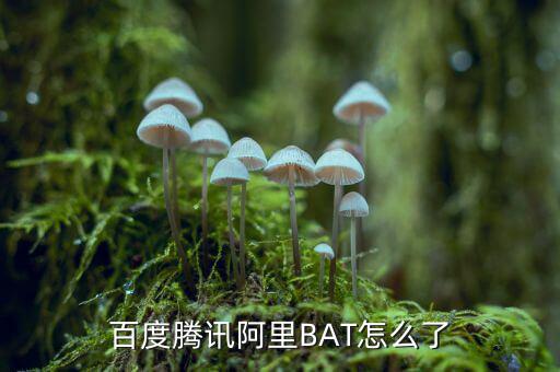什么是bat收購(gòu)，百度騰訊阿里BAT怎么了