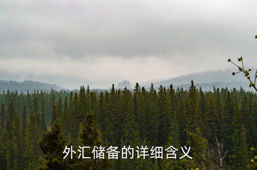 外匯儲(chǔ)備包括什么，外匯儲(chǔ)備指什么是用黃金或紙幣來儲(chǔ)備