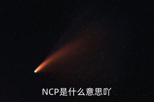 可比企業(yè)ncp是什么簡(jiǎn)稱，NCP是什么意思吖