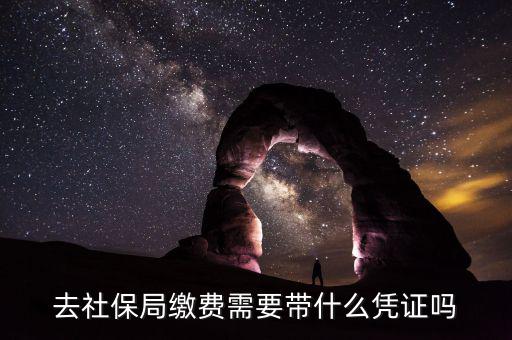 去社保局申報年度繳費工資需要帶什么證件，去社保局繳費需要帶什么憑證嗎