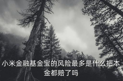 小米金融基金寶為什么一直跌，小米金融基金寶我投了100元為什么還在確認(rèn)當(dāng)中何時(shí)贖回