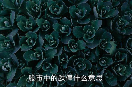 跌停是什么意思，跌停是什么意思