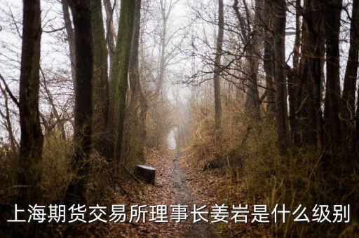 上海期貨交易所理事長姜巖是什么級(jí)別