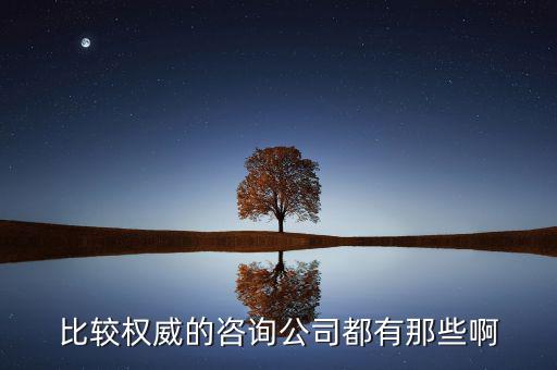 艾瑞和易觀是什么公司，易觀國際有幾個子公司