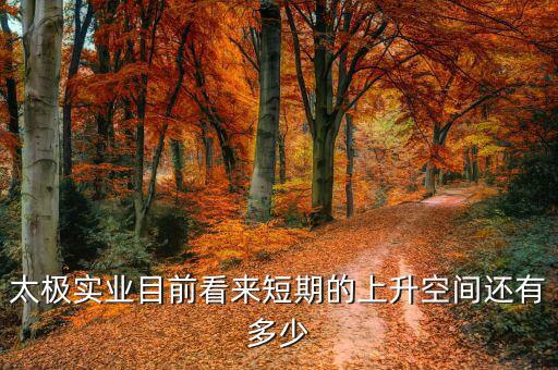 紫江沈臻現(xiàn)在干什么，紫江企業(yè)后市如何