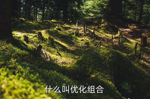 優(yōu)化重組是什么書，什么叫優(yōu)化組合
