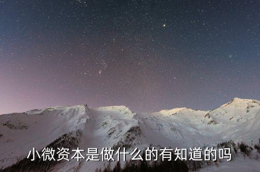 小微金融部是什么意思，安徽眾卡所說的微金融是什么