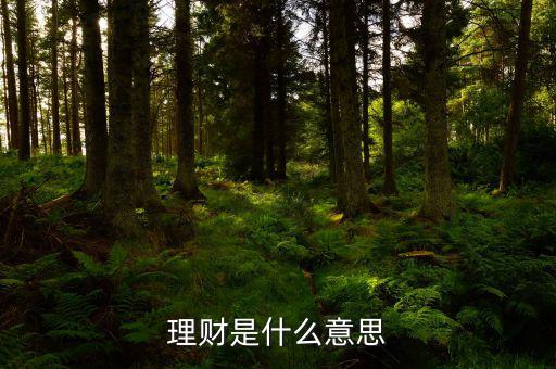 理財市場是什么，理財是什么意思